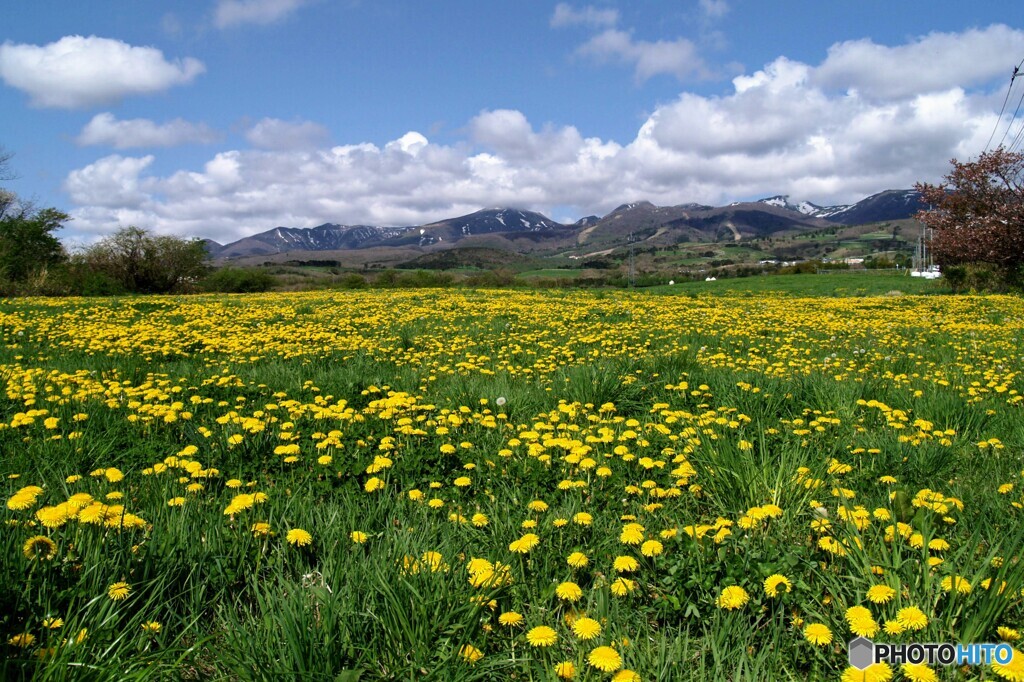 早春の那須連山