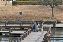 頑張れ！ママさんカメラマン