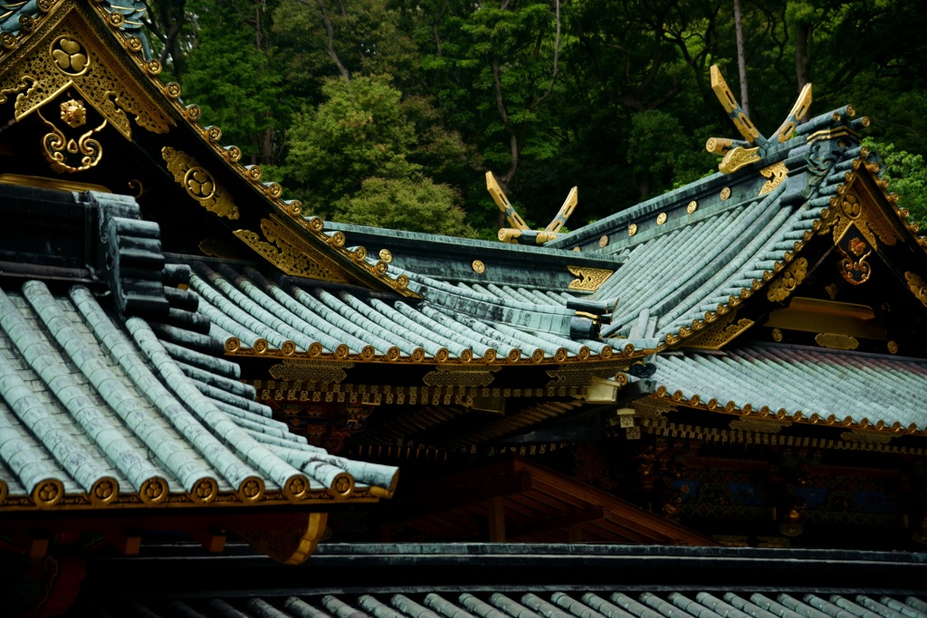 荘厳な雰囲気に包まれて(2)