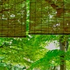 夏も過ぎ行く