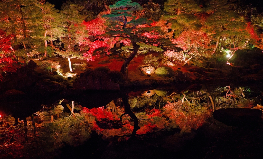 庭紅葉