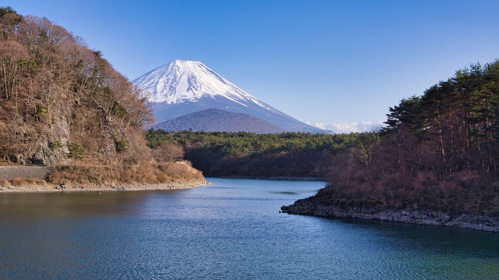 精進湖からの富士