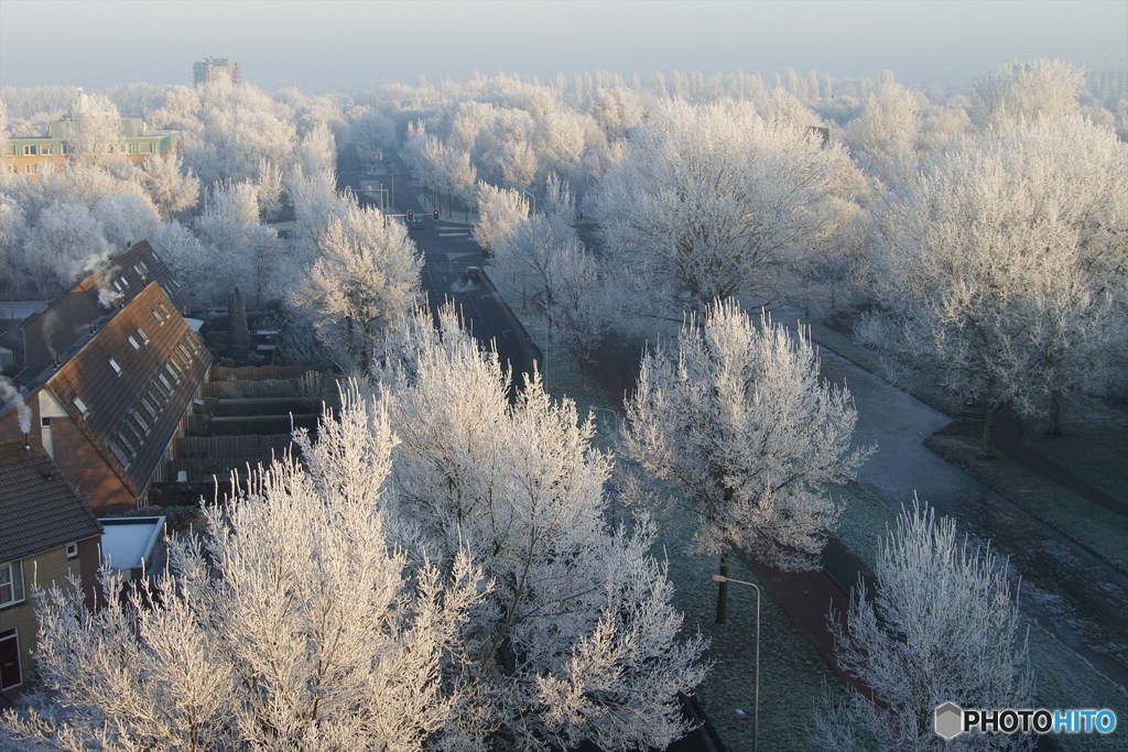 霧氷に包まれた町