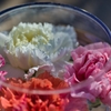 陽光と花