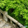 石段を登る(2)