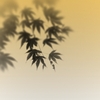 濃いも薄いも