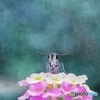 絵に描いた鏡餅 (絵画風ver.)