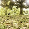 主観と客観視