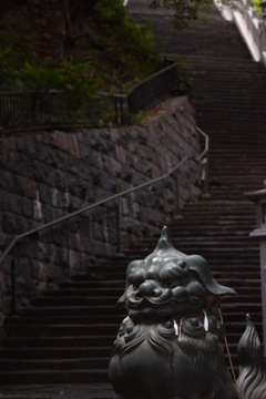 愛宕神社 狛犬