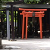 愛宕神社 ねこ様