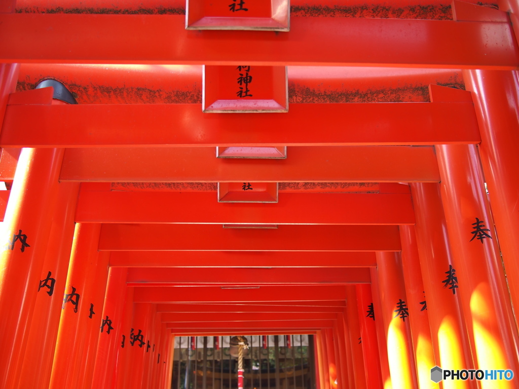 注連懸稲荷神社の鳥居