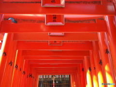 注連懸稲荷神社の鳥居