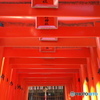 注連懸稲荷神社の鳥居