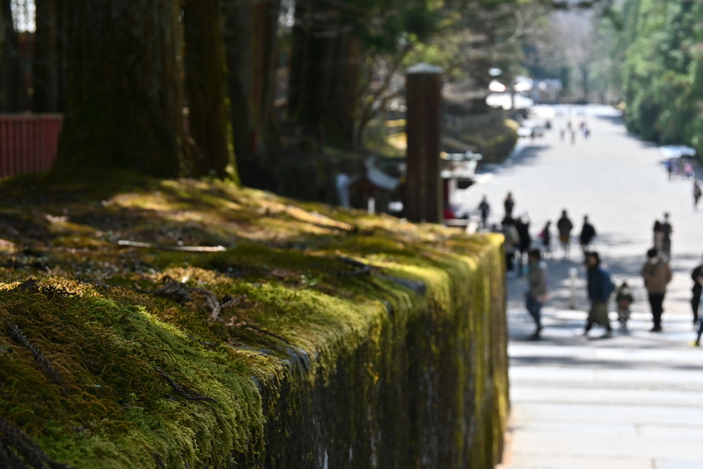 東照宮参道