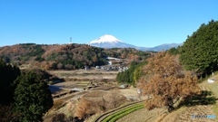 静岡県駿東郡小山町竹之下 県道78号線付近