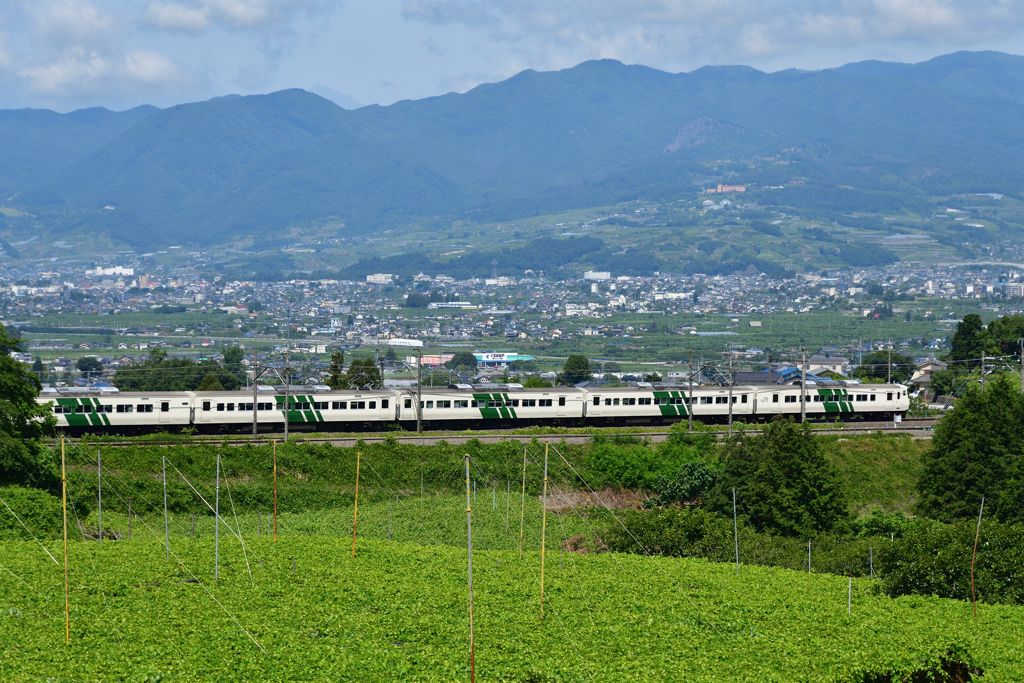 ブドウ畑の中を駆けるグリーンライン列車