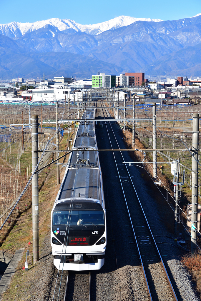 南アルプスを背景に　２