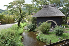 忍野八海