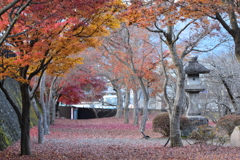 グラデーション