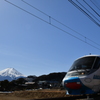 富士山とフジサン