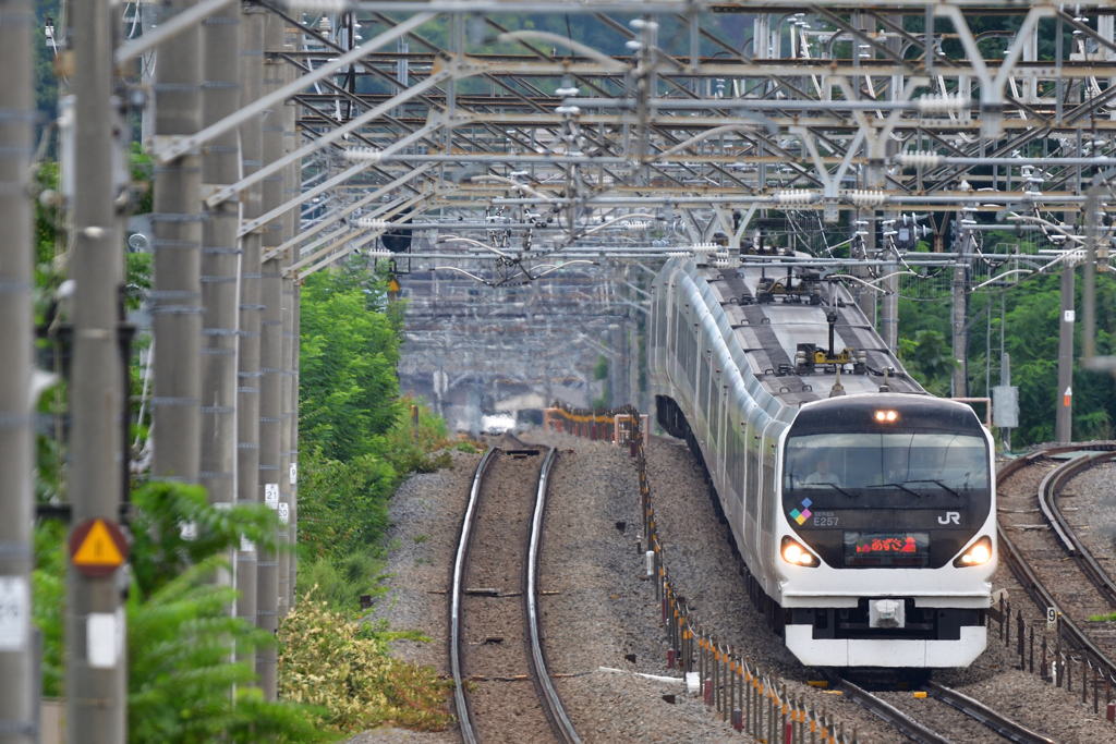 E257　あずさ
