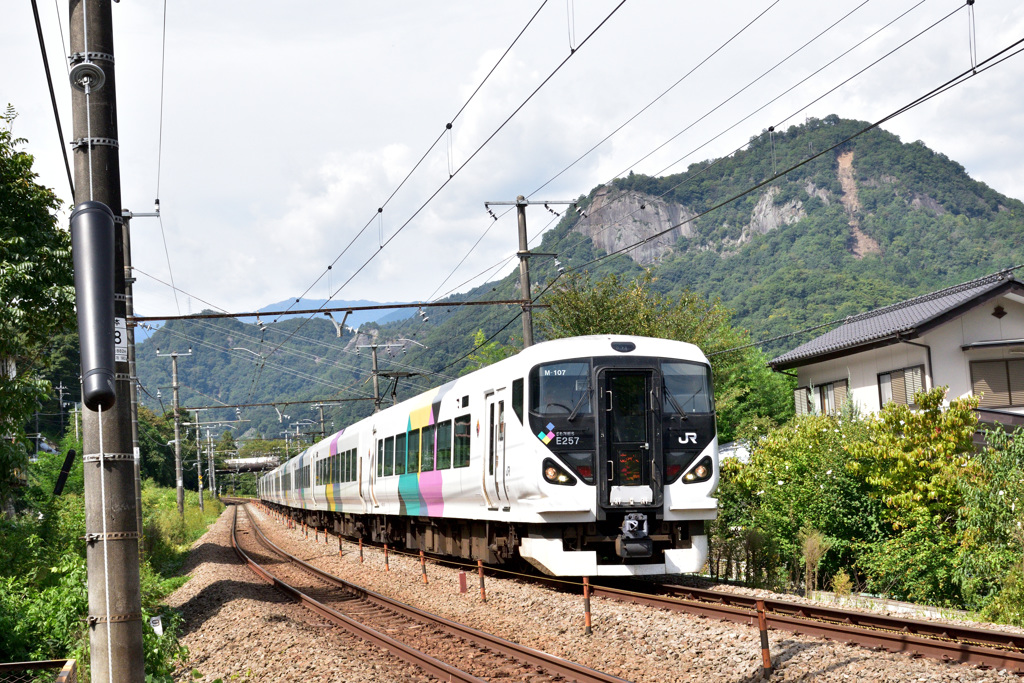 Ｅ２５７系