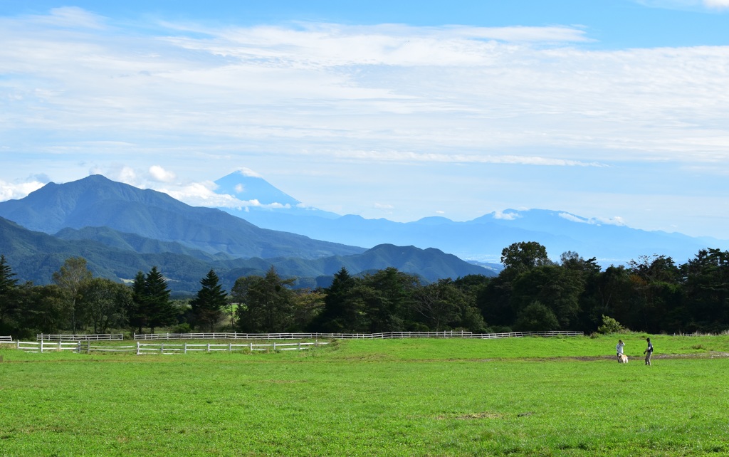高原からの富士山