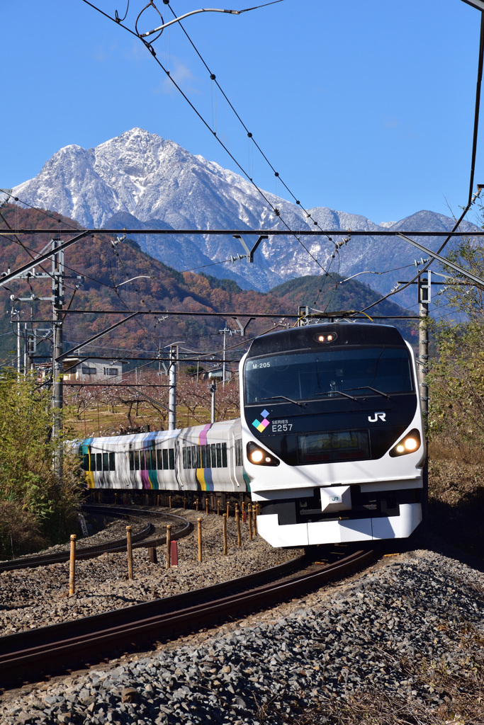 甲斐駒ヶ岳を背景に　２