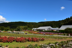 花の都公園