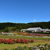 花の都公園
