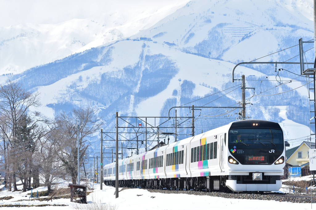 八方尾根スキー場を背景に　２