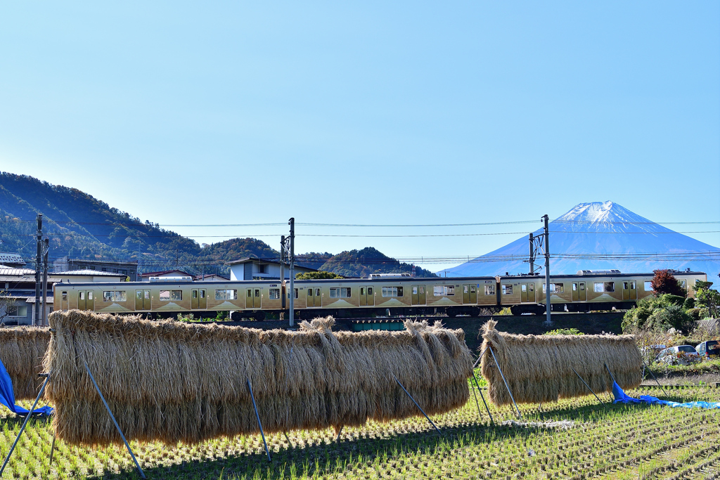 ゴールド富士山