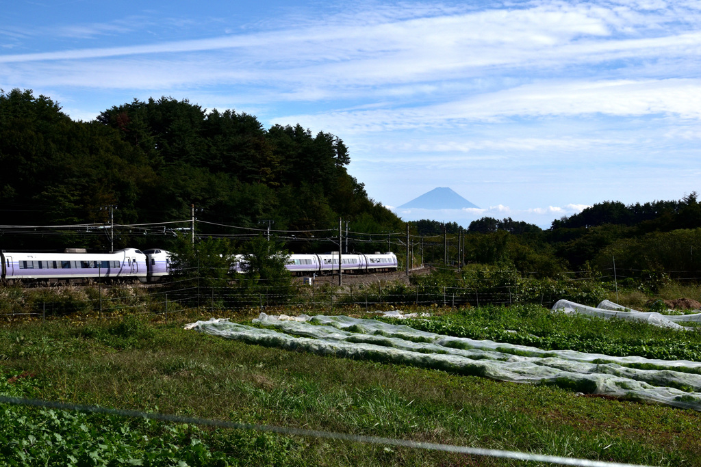 富士へ向かって走る