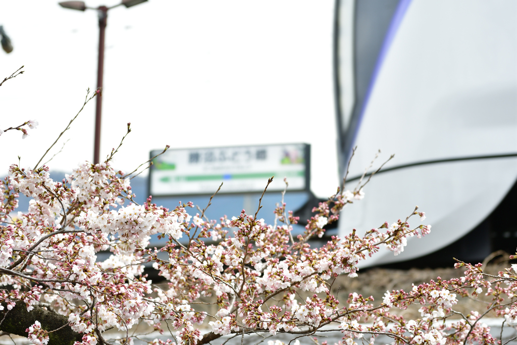 勝沼ぶどう郷駅