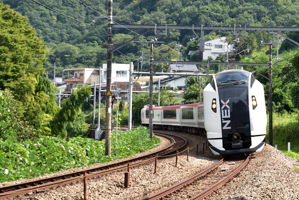 特急成田エクスプレス　Ｅ２５９系