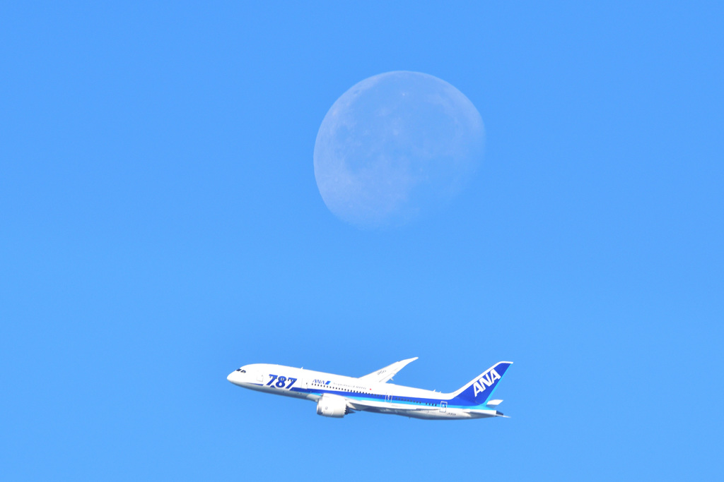 朝の月と　２