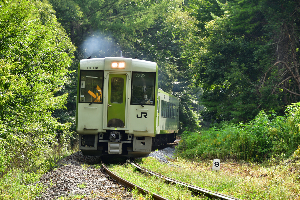 密林列車