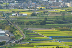 特急ふじかわ