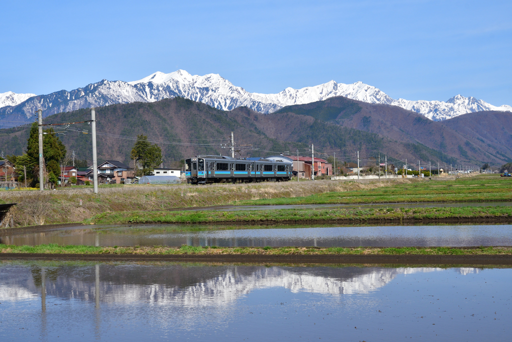 北アルプスを背景に