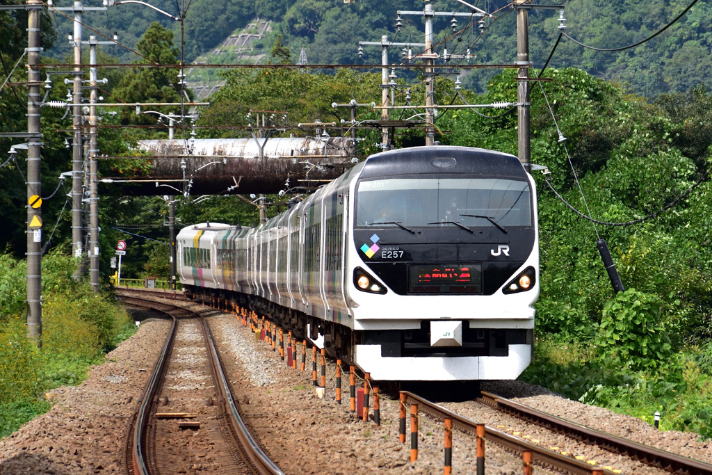 Ｅ２５７系