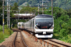 E257系 E257系