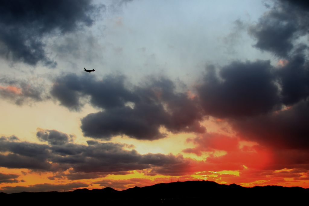 夕日に向かって