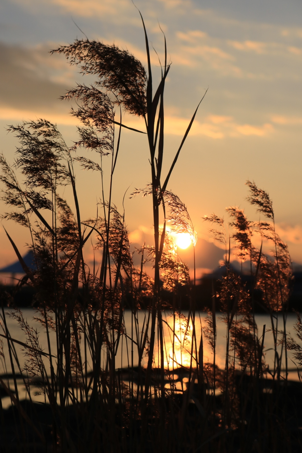 冬の夕日