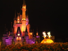 デズニー手持夜景