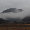 霧に電球