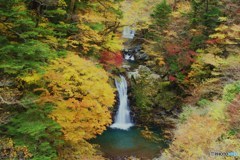 山嶺の滝