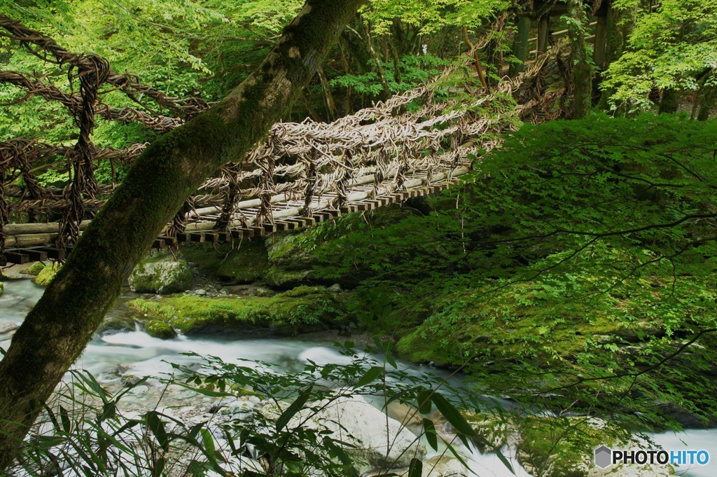  かずら橋