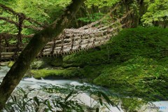  かずら橋