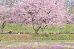 可愛く撮れたかな？