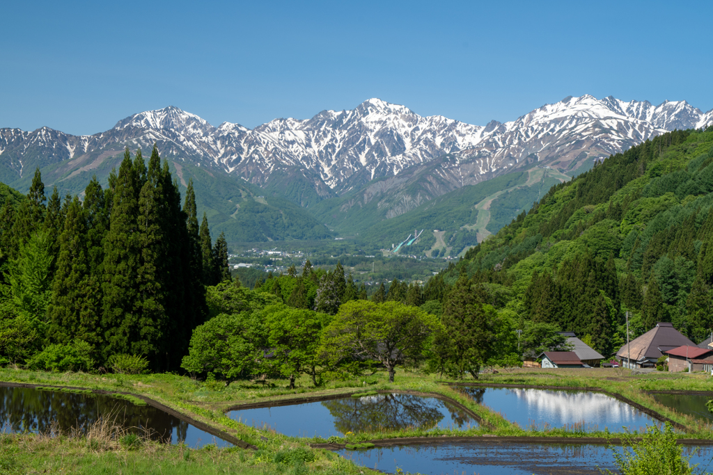 田植え前